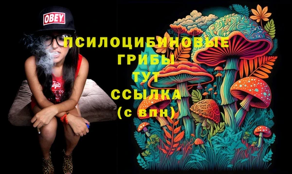 дмт Армянск