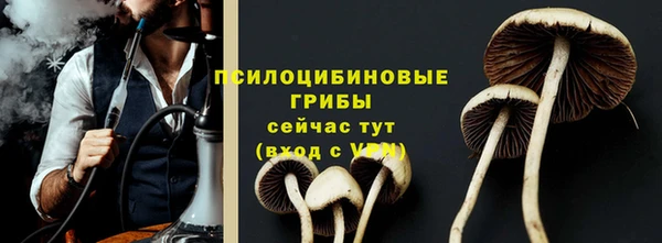 дмт Армянск