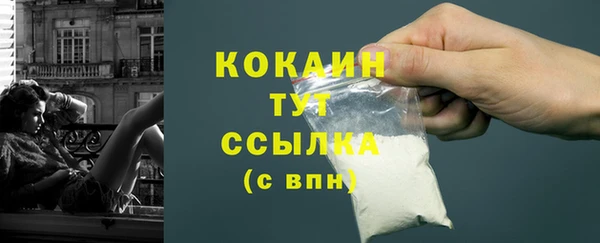 индика Переславль-Залесский