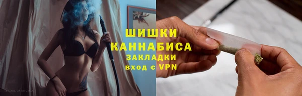 a pvp Пересвет