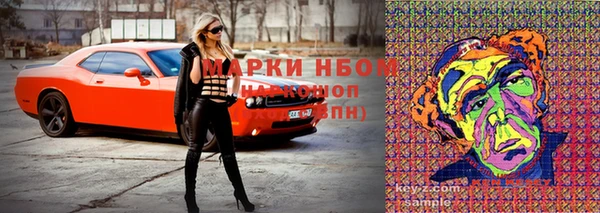 спиды Арсеньев