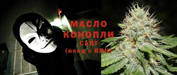 индика Переславль-Залесский