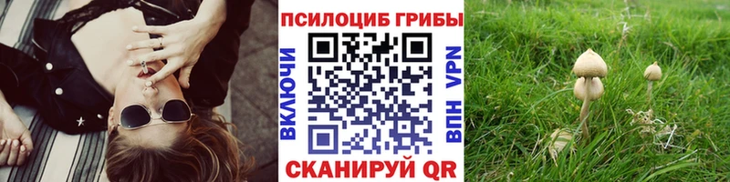 Галлюциногенные грибы GOLDEN TEACHER  продажа наркотиков  Бутурлиновка 